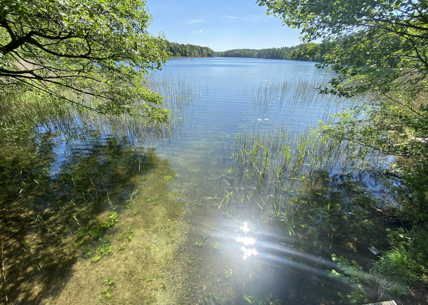 Wertschoepfung